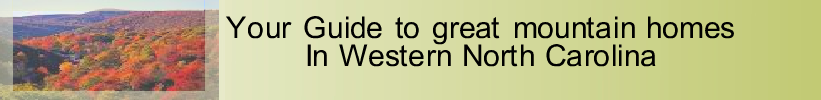 Asheville nc real estate
